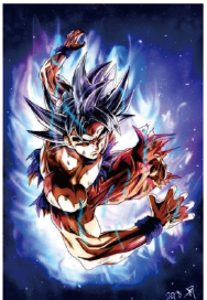 WALL SCROLLS and POSTERS