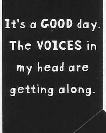 It's a GOOD day. The VOICES in my head are getting along. WYS-09 UNISEX