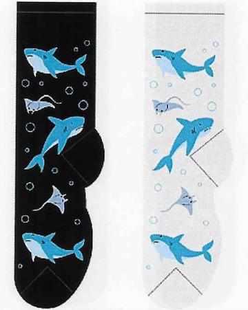 Sharks & Stingrays Socks FC-166