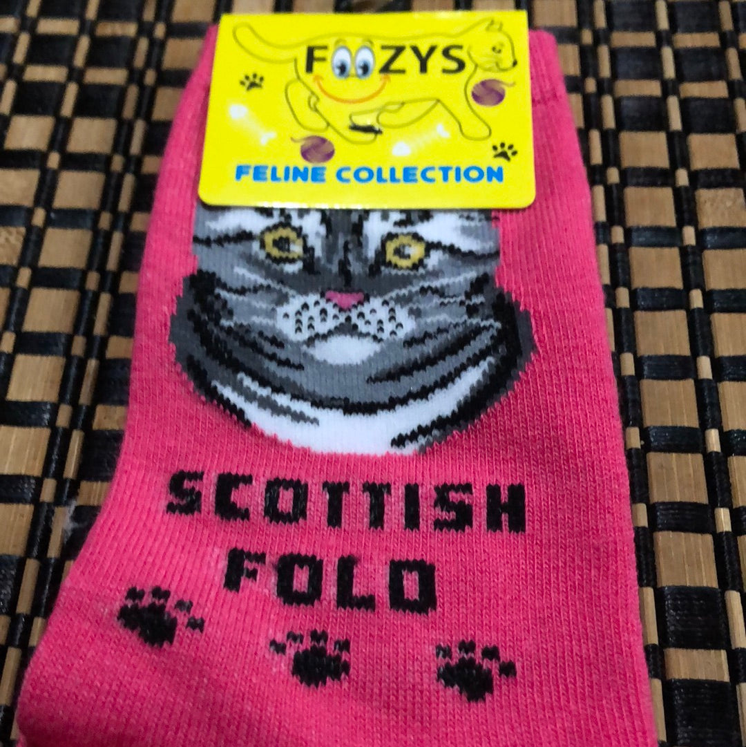 Foozys feline collection