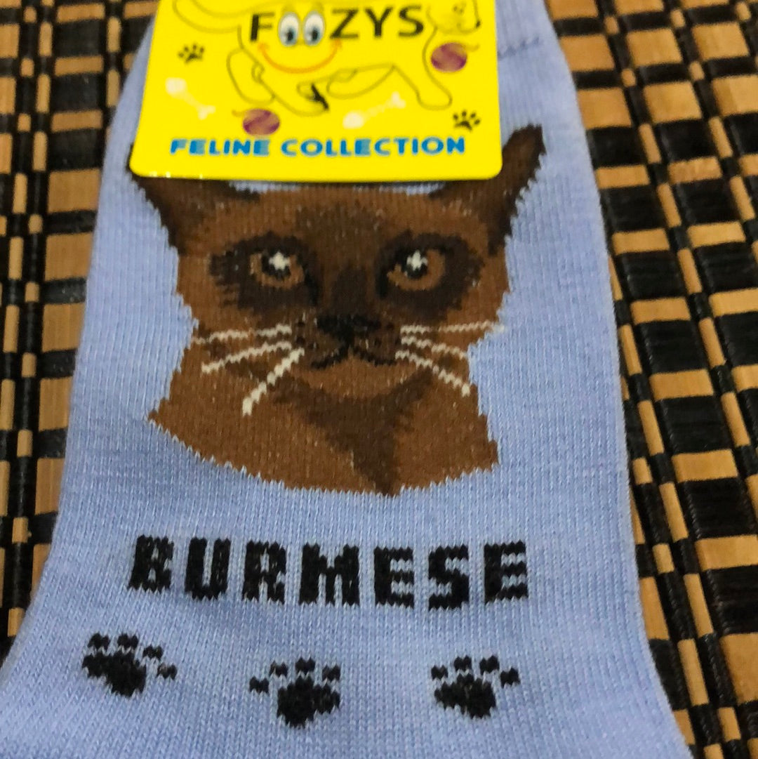 Foozys feline collection